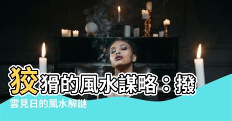 何謂吹南風|【何謂吹南風】何謂吹南風？濕熱季節的剋星 – 每日新聞 Daily。